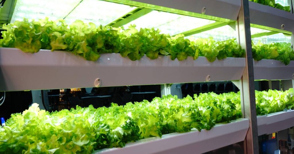 vertical farming- innovations in argiculture